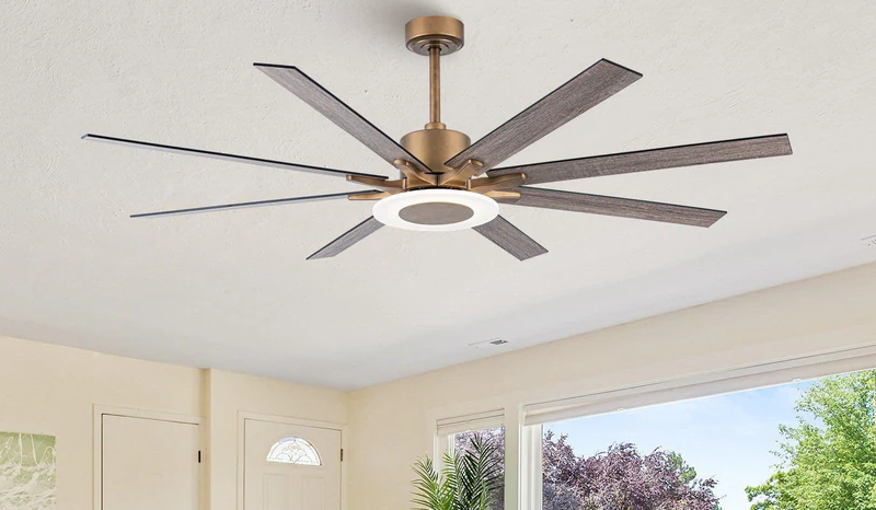Reversible Ceiling Fan Direction: Summer and Winter