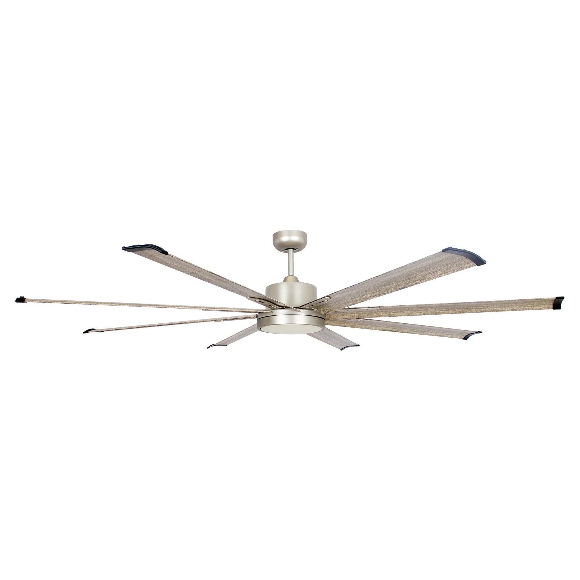 Living Room Ceiling Fans -Parrot Uncle