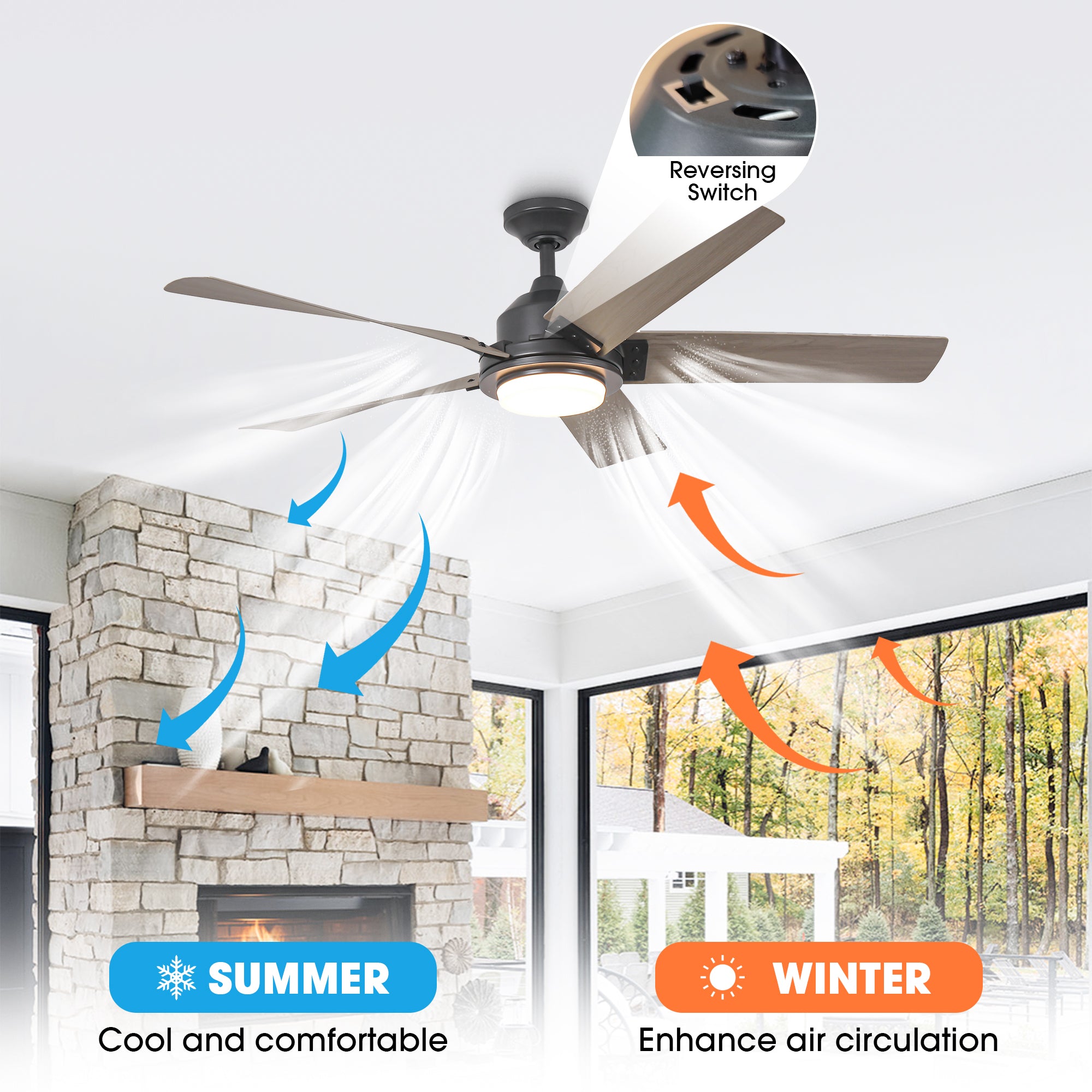 Modern ceiling fan with reversing switch for summer cooling and winter air circulation.
