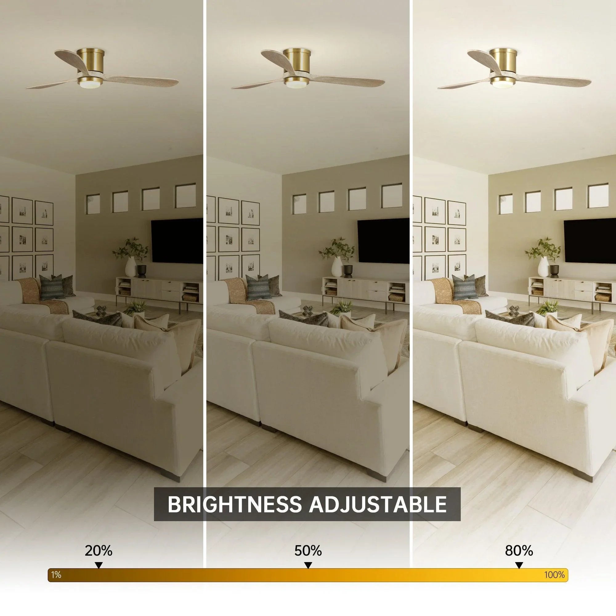 52" Mayna Smart Fan with LED Light - ParrotUncle