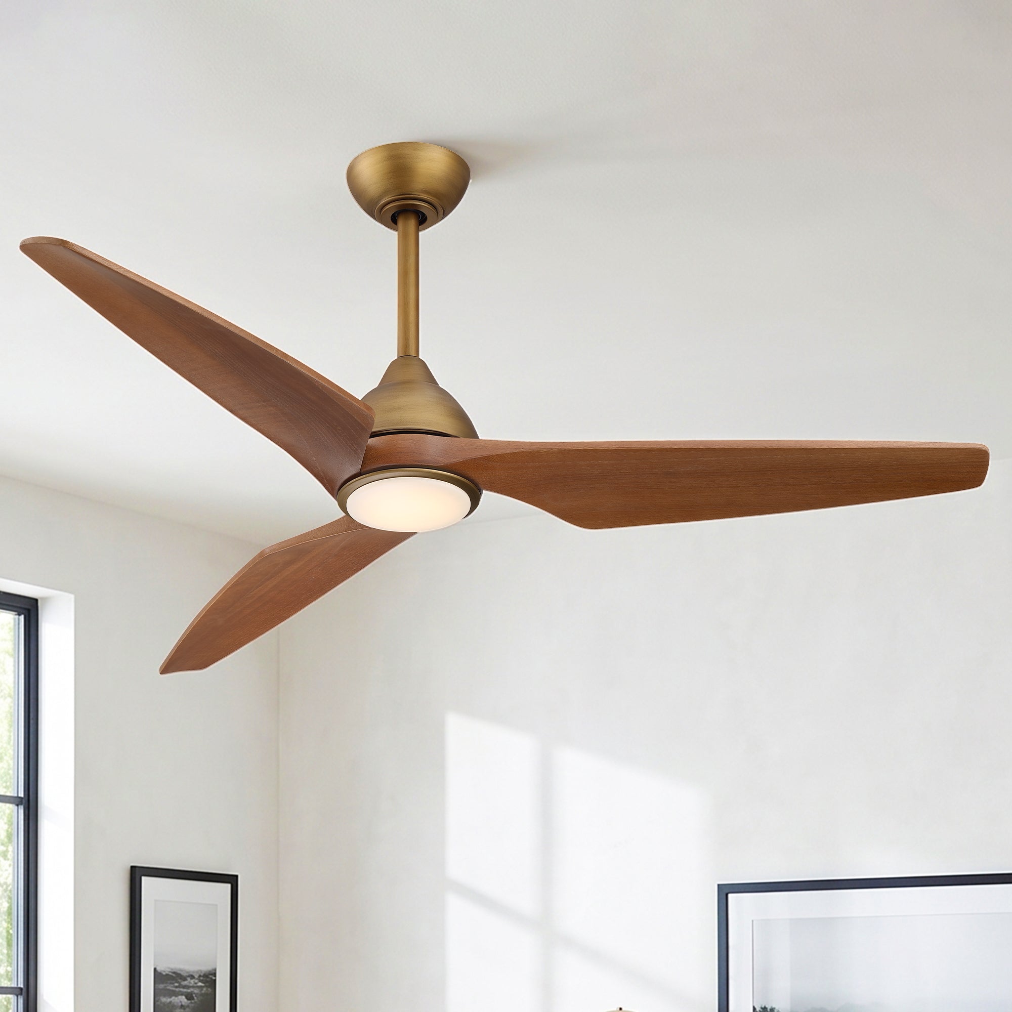 55006GD