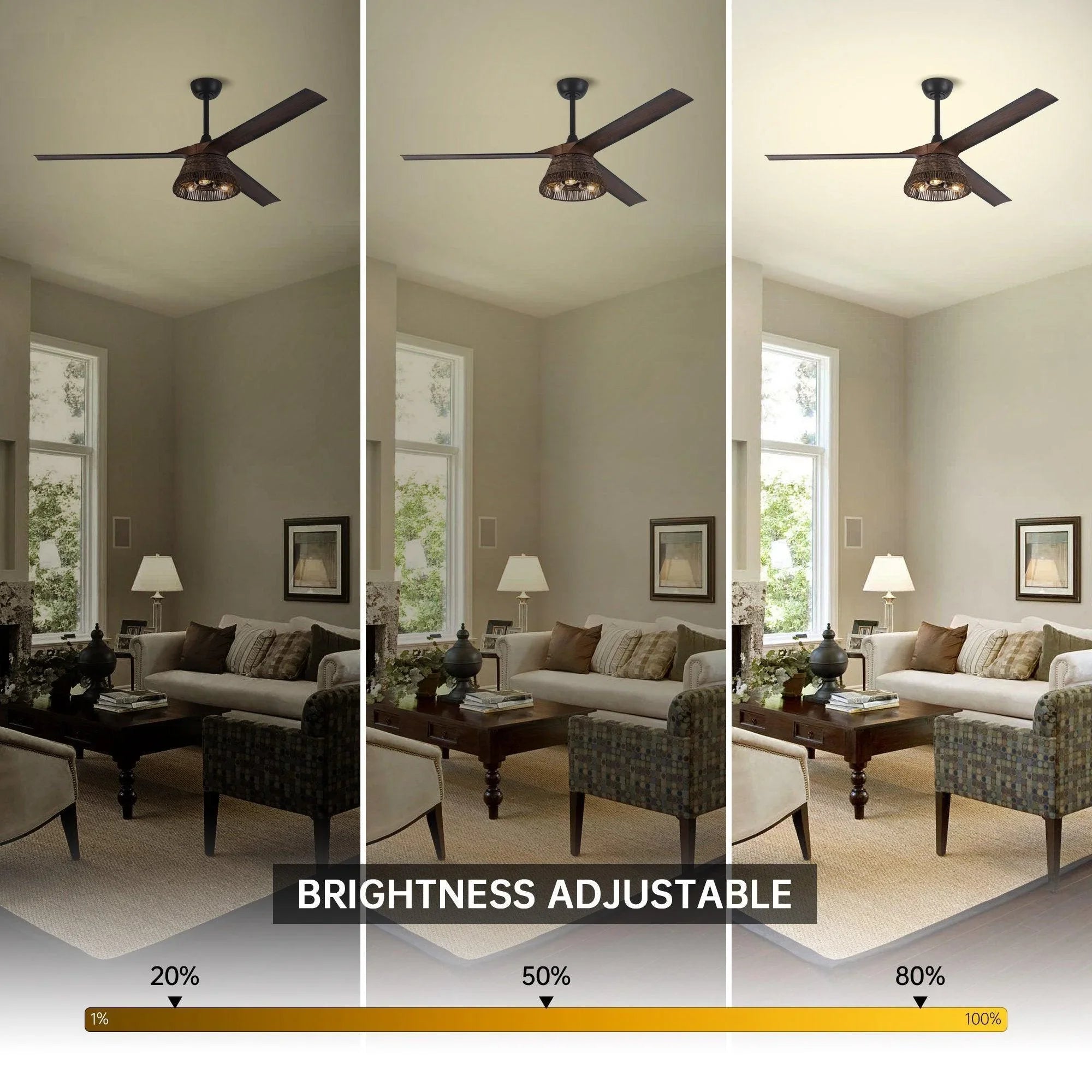 60" Farmhouse Downrod Mount Reversible Ceiling Fan with Lighting and Remote Control - ParrotUncle
