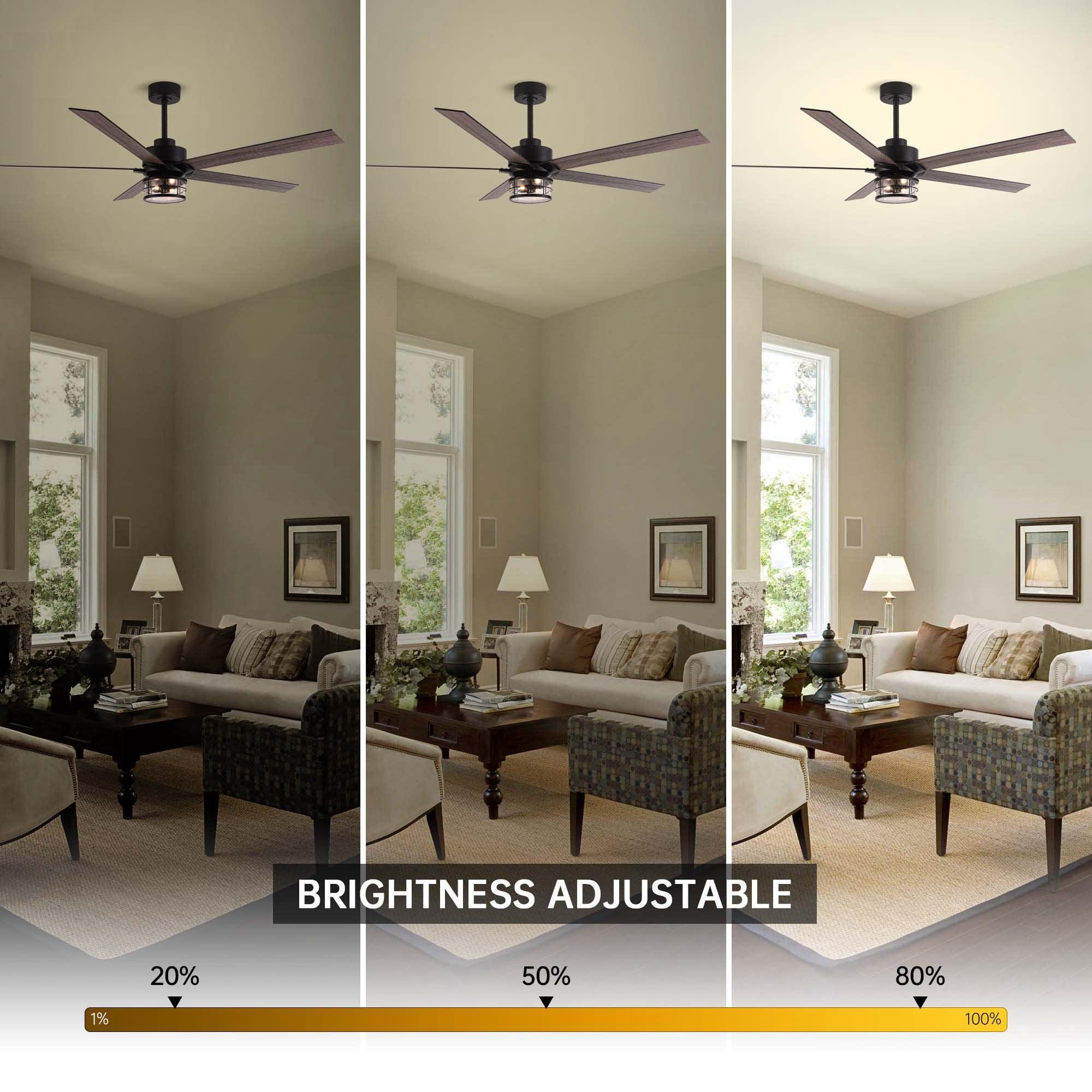 65" Modern DC Motor Downrod Mount Reversible Ceiling Fan with Lighting and Remote Control - ParrotUncle