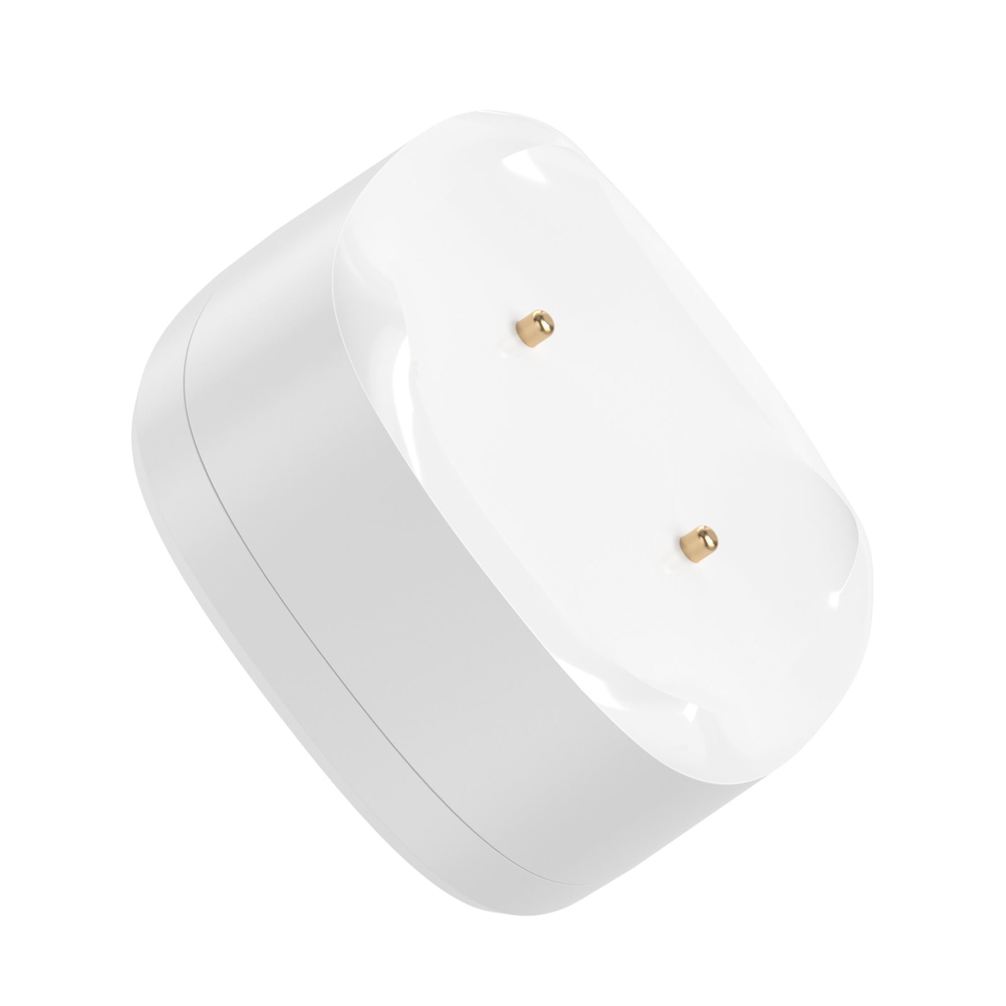 Zigbee Water Leak Sensor IP67 for Kitchen Bathroom Basement