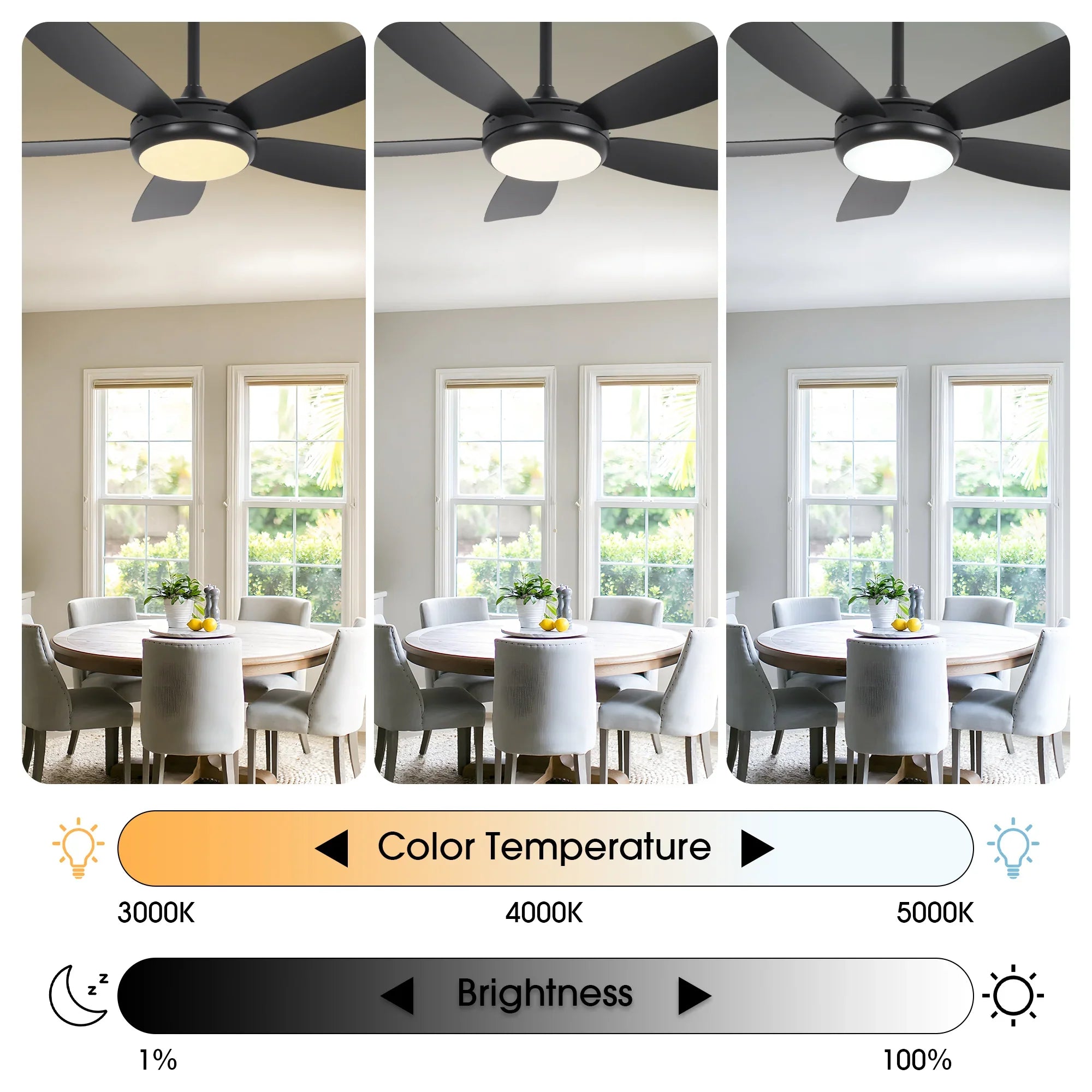 42 Inch Gladys Modern Black LED Ceiling Fan with Remote Control