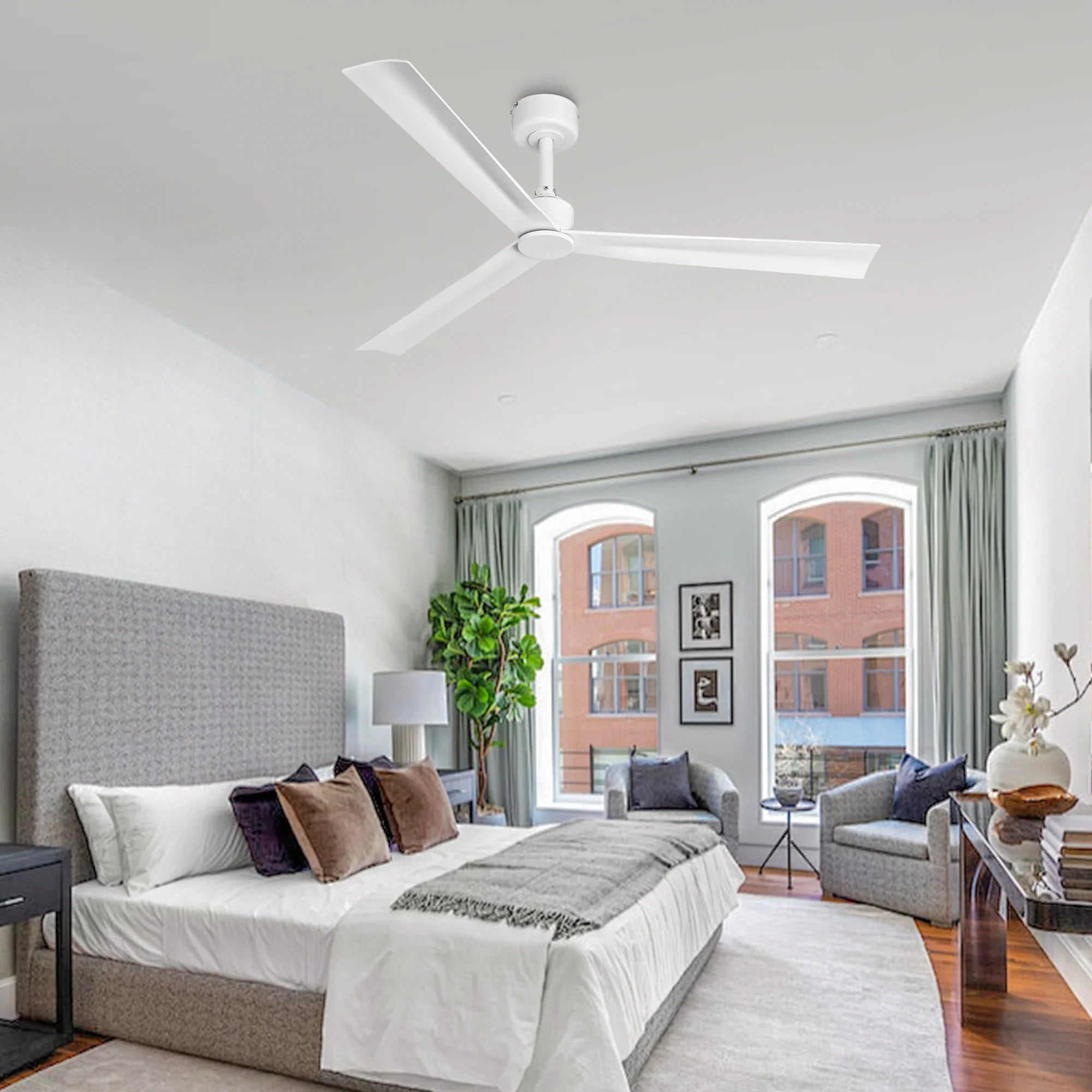 50 Inch Erica Modern Downrod Mount Ceiling Fan with Remote Control