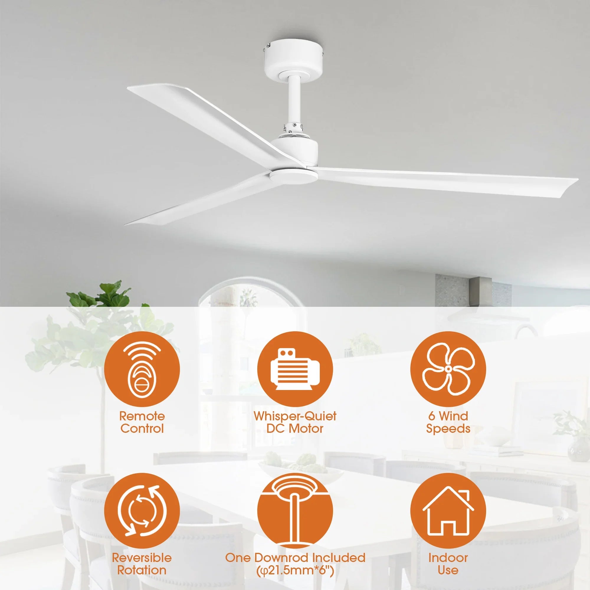 50 Inch Erica Modern Downrod Mount Ceiling Fan with Remote Control