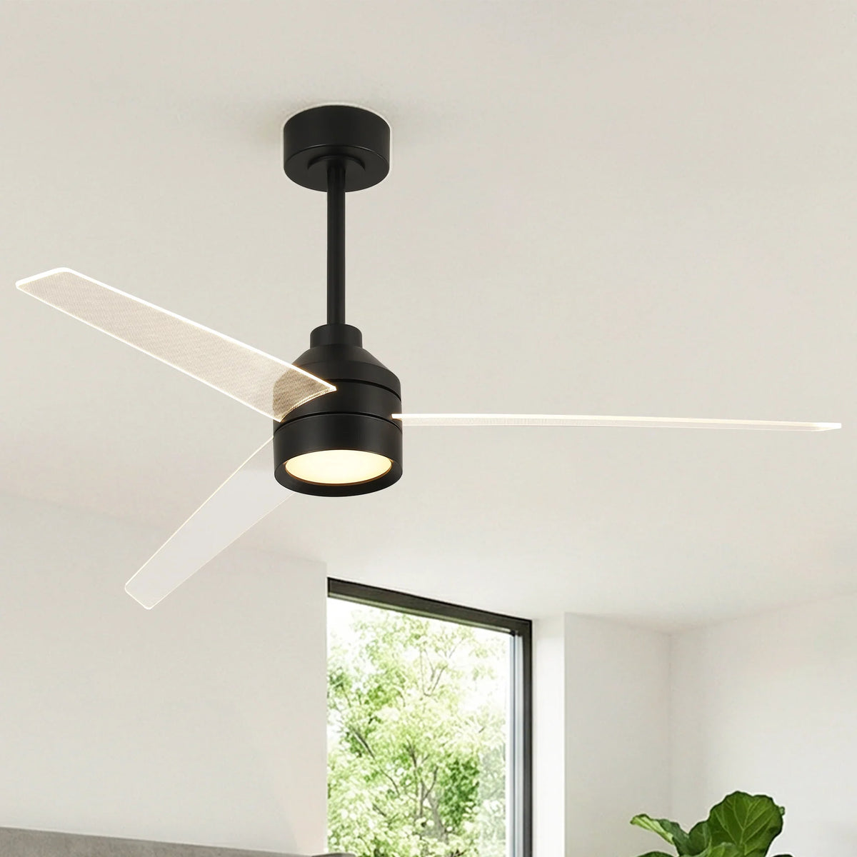 55" Xenia Black Downrod Mount LED Ceiling Fan with Clear Blades