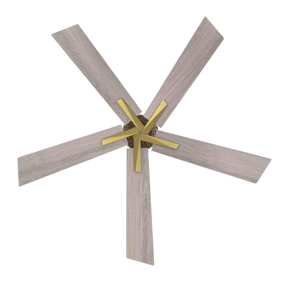 52" Rex Soft Brass Downrod Mount Ceiling Fan