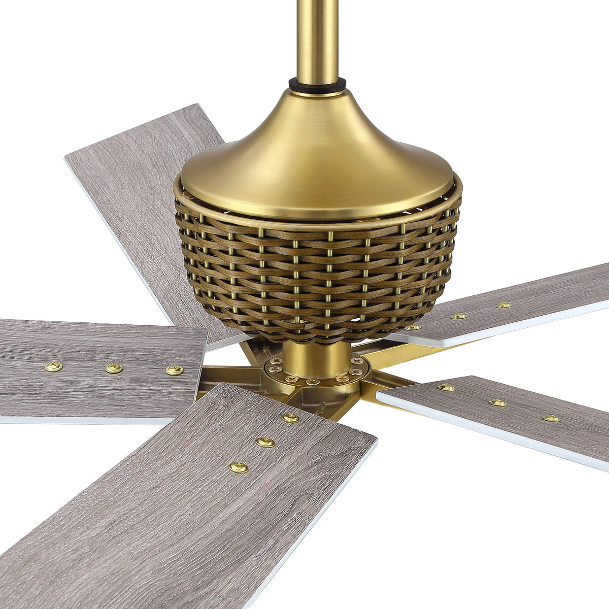 52" Rex Soft Brass Downrod Mount Ceiling Fan