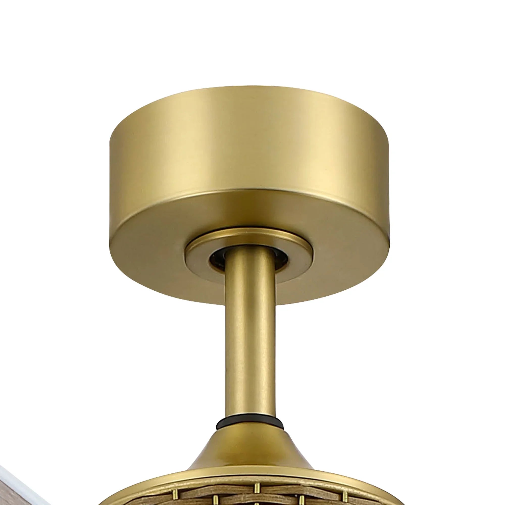 52" Rex Soft Brass Downrod Mount Ceiling Fan