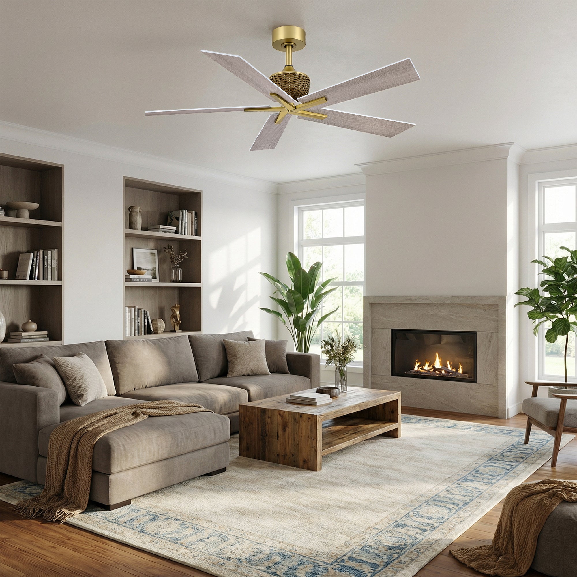 52" Rex Soft Brass Downrod Mount Ceiling Fan