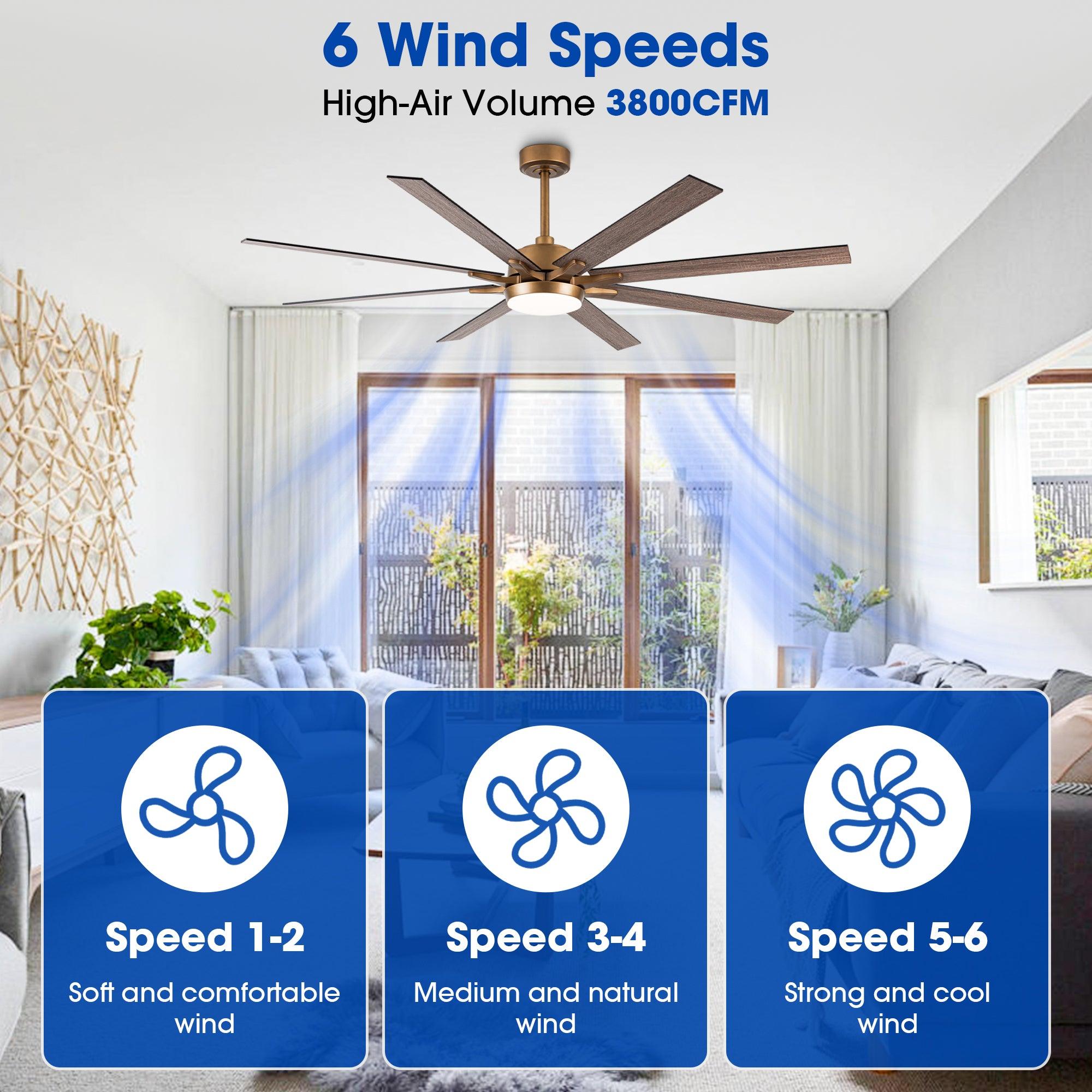 65" Balachandran Modern Brushed Nickel DC Motor Downrod Mount Ceiling Fan With Lighting And Remote Control
