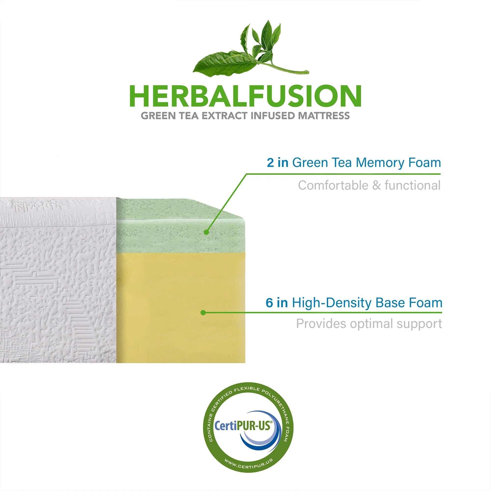 8 Inch Herbal Fusion Green Tea-Infused Polyester Memory Foam Queen Mattress