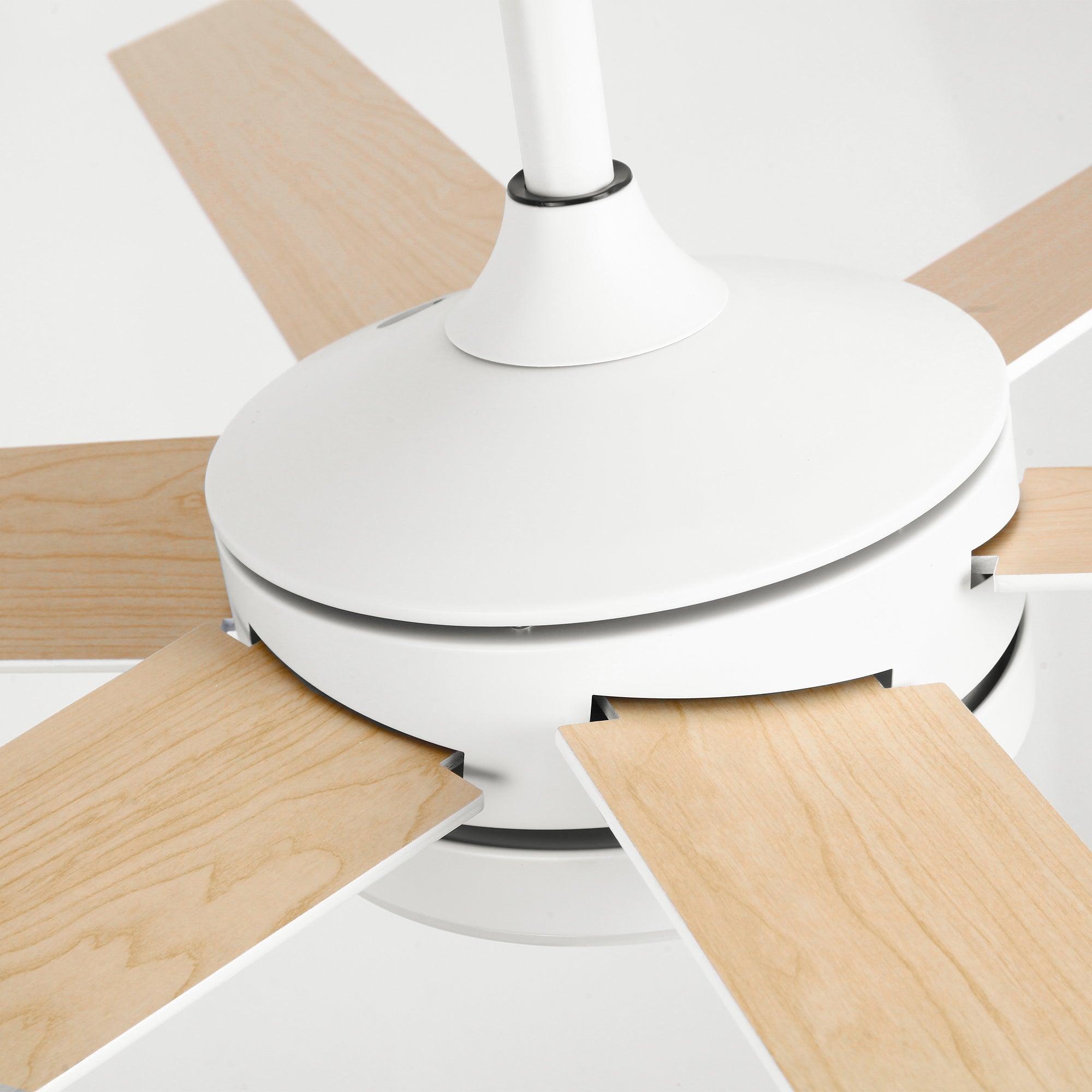 Ventilador de techo moderno de 60" con motor de CC Volga, 6 aspas y montaje en varilla con control remoto