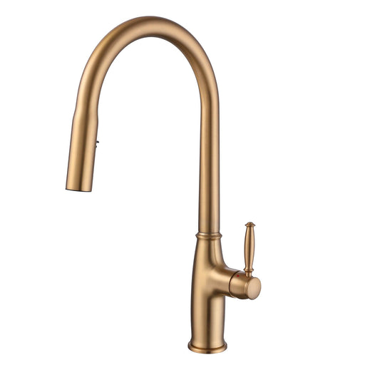 Single Handle Brushed Gold Kitchen Faucet with Pull Down Sprayer Single Hole Kitchen Sink Faucets - ParrotUncle