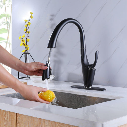 Single Handle Matte Black Kitchen Faucet Single Level Stainless Steel Kitchen Sink Faucets - ParrotUncle