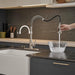 Single-Handle Pull-Down Sprayer 2 Spray High Arc Kitchen Faucet - ParrotUncle