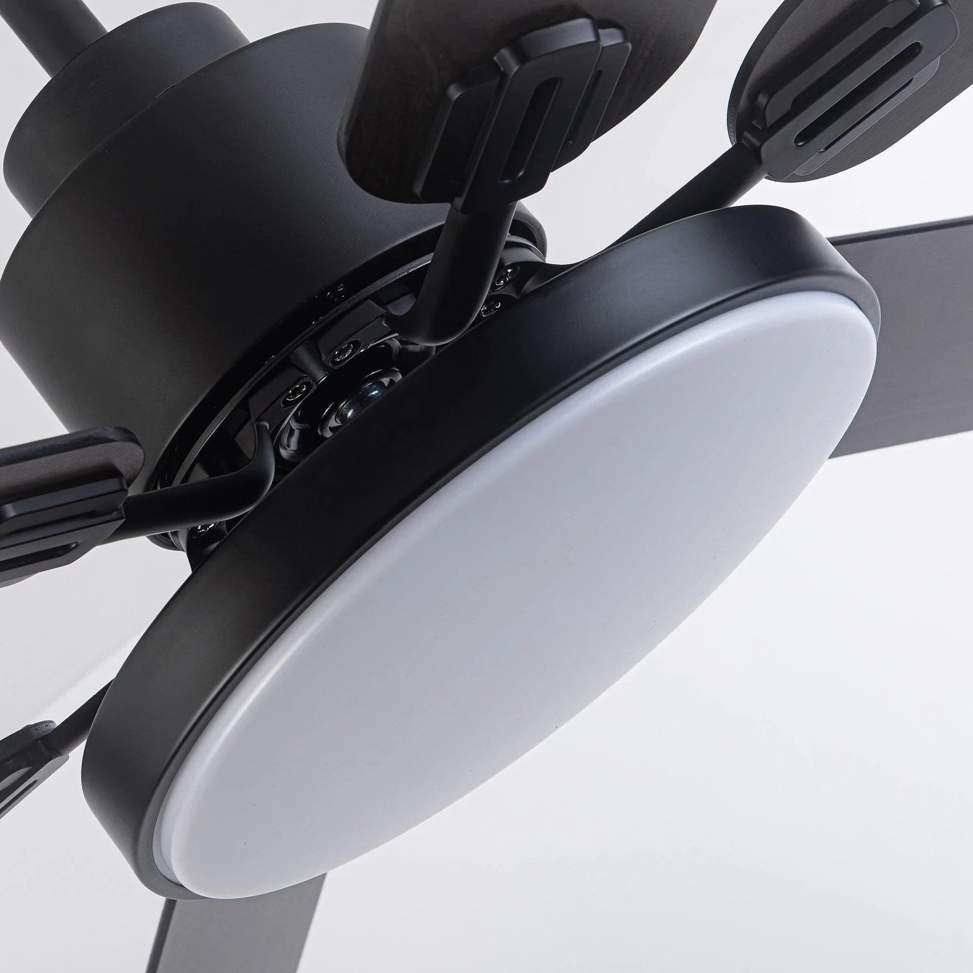 60" Modern DC Motor Downrod Mount Reversible Ceiling Fan with Lighting and Remote Control - ParrotUncle