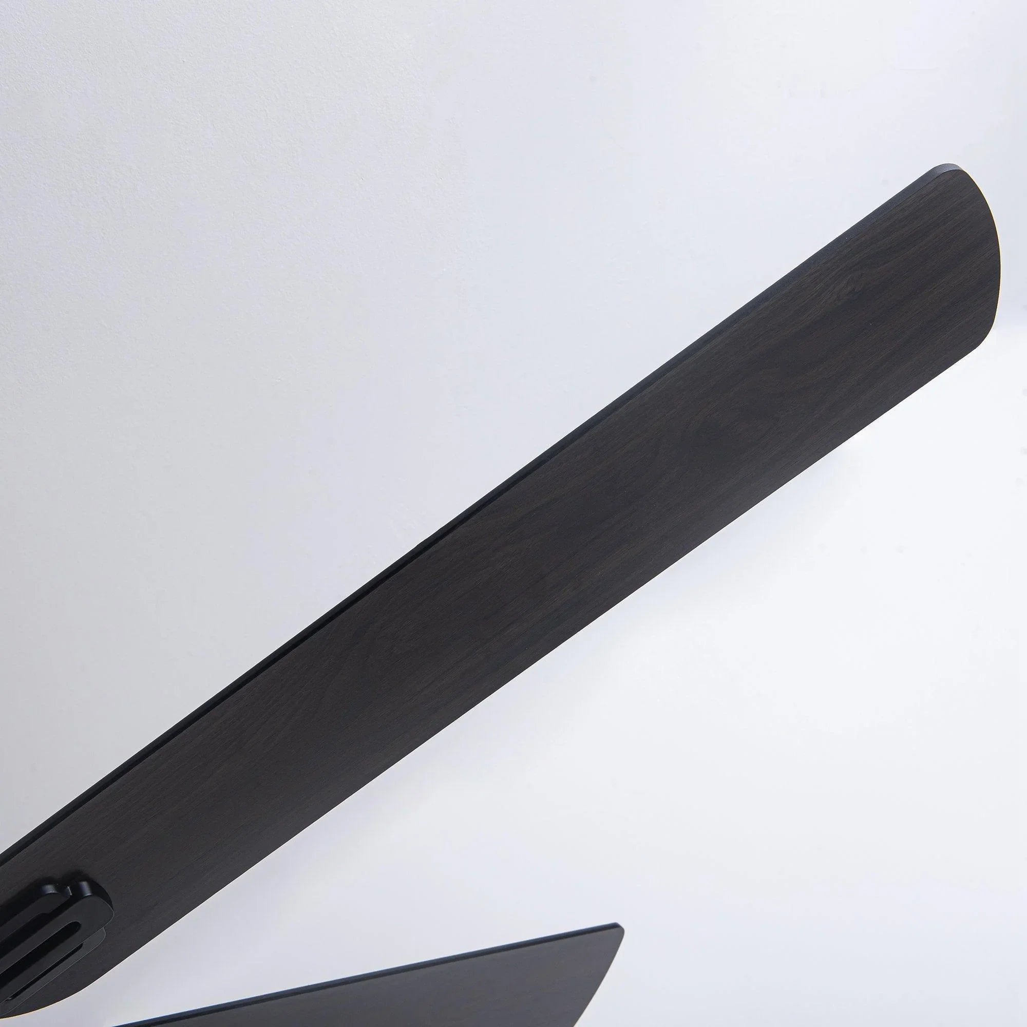 60" Modern DC Motor Downrod Mount Reversible Ceiling Fan with Lighting and Remote Control - ParrotUncle