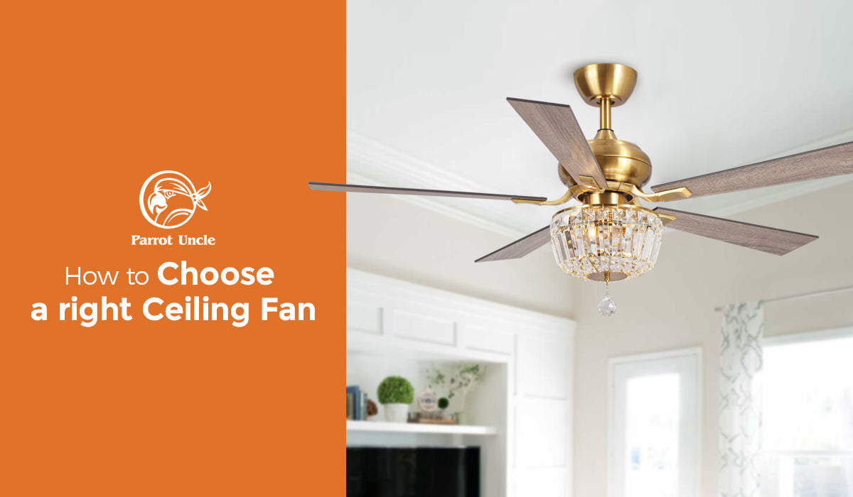 How to Choose the right Ceiling Fans - ParrotUncle