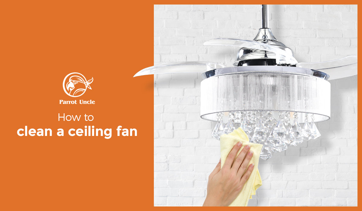 How to clean a ceiling fan - ParrotUncle