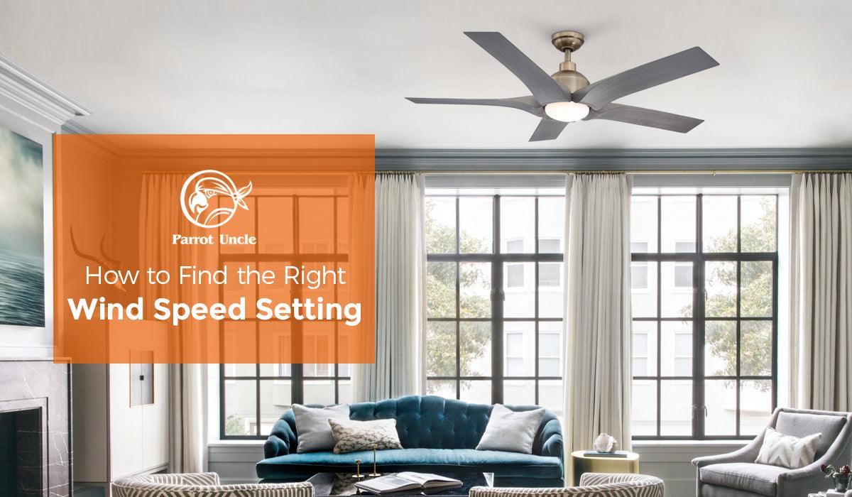 How to Find the Right Wind Speed Setting - ParrotUncle