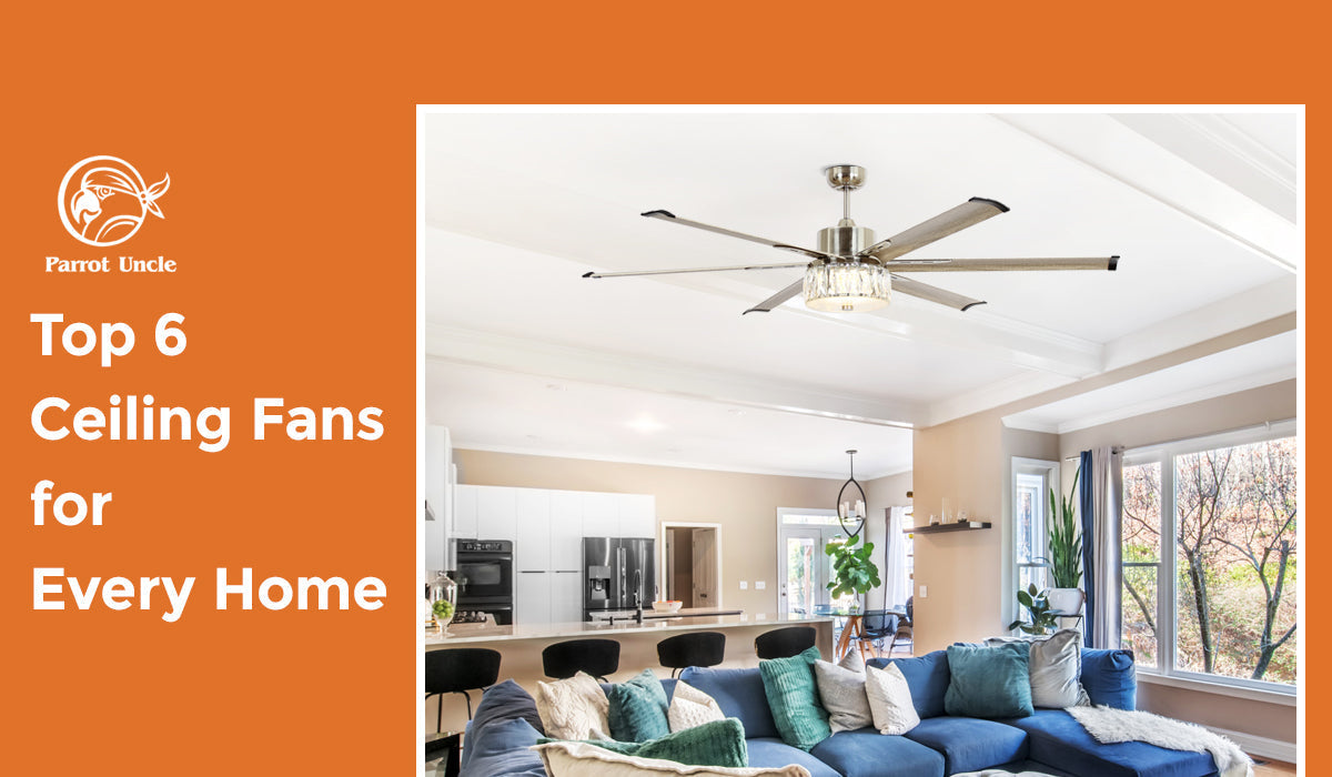 Top 6 Ceiling Fans for Every Home - ParrotUncle