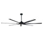 Large Fan