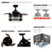 36" Punjab Modern Downrod Mount Ceiling Fan with Lighting and Remote Control - ParrotUncle