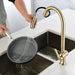 360-degree Rotation Single-Handle Pull-out Faucet - ParrotUncle