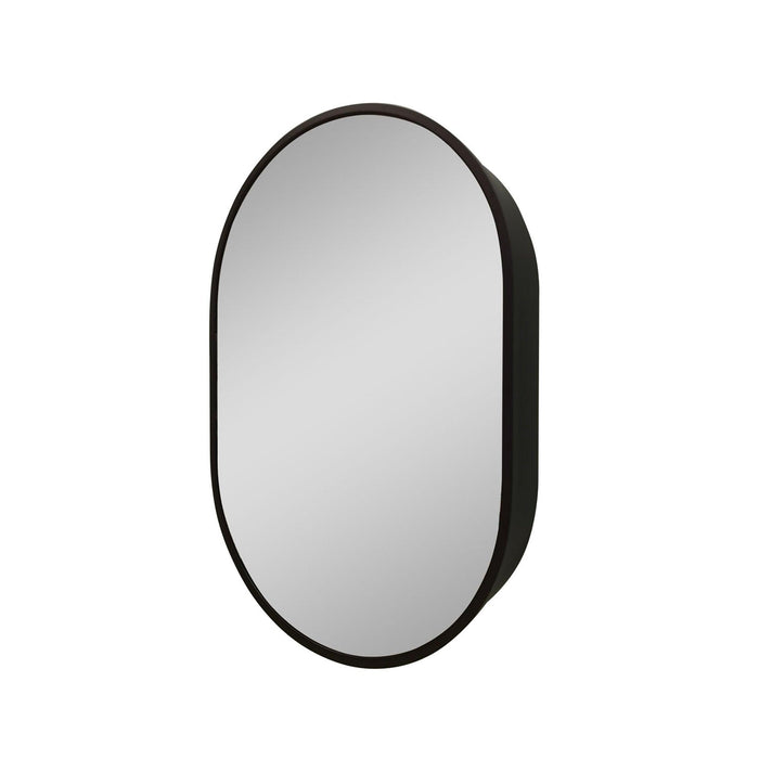 4.9 in. D x 24 in. W x 36 in. H Oval Black Surface Mount Bathroom Medicine Cabinet with Mirror - ParrotUncle