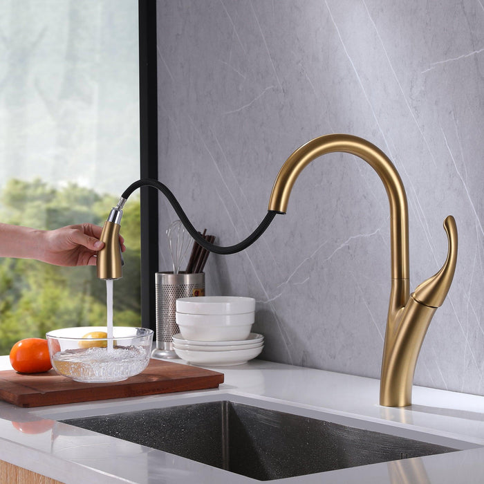 4-Way High-Arc Pull down Kitchen Faucet Single Handle with 360 Degree Spout - ParrotUncle