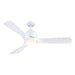 54" Varanasi Industrial Downrod Mount Reversible Ceiling Fan with LED Lighting and Remote Control - ParrotUncle