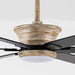 65" Amritsar Traditional Downrod Mount Reversible Ceiling Fan with LED Lighting and Remote Control - ParrotUncle
