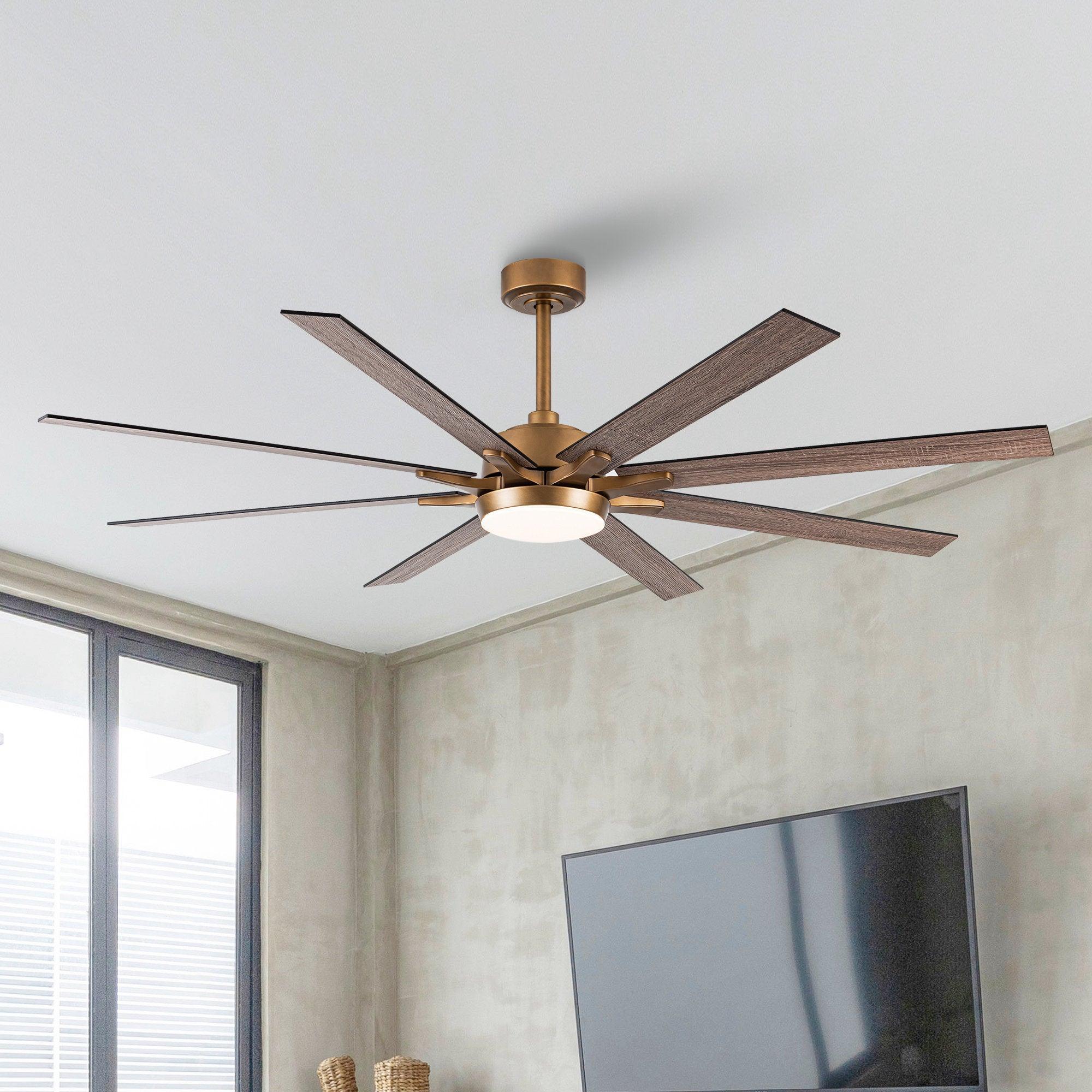 65" Balachandran Industrial Downrod Mount Ceiling Fan with LED Lighting and Remote Control - ParrotUncle