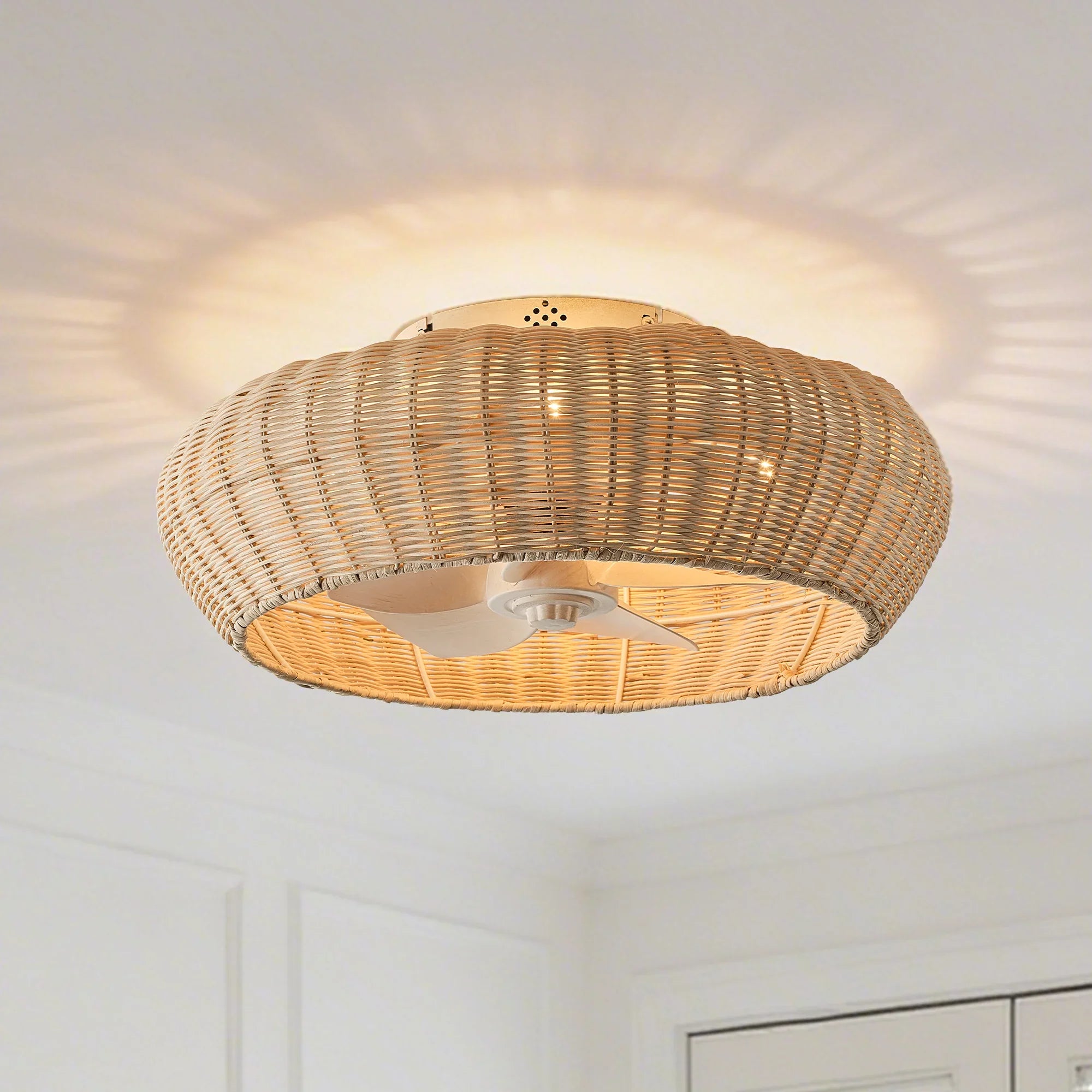 20" Ronald Bohemian Flush Mount Ceiling Fan with Light