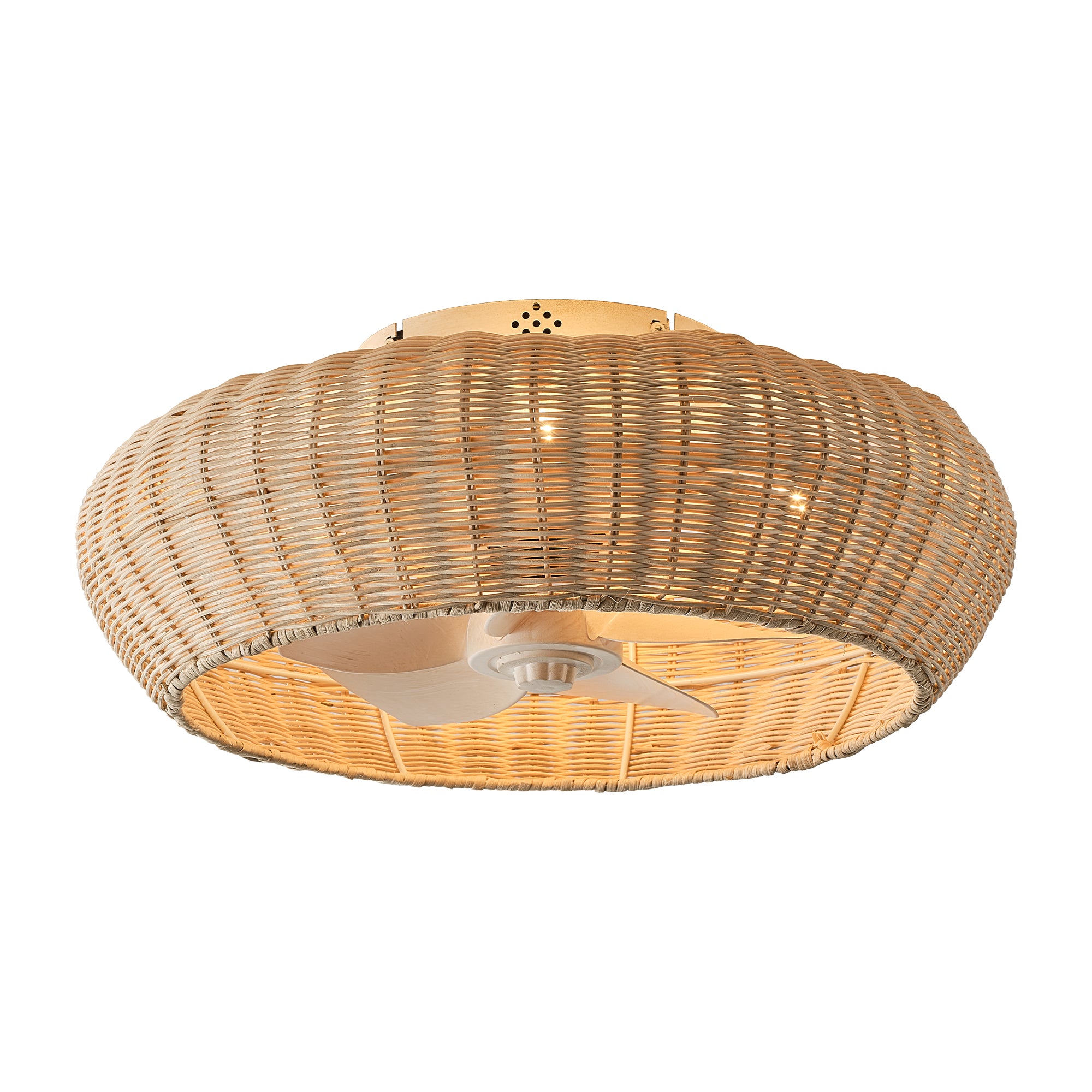 20" Ronald Bohemian Flush Mount Ceiling Fan with Light