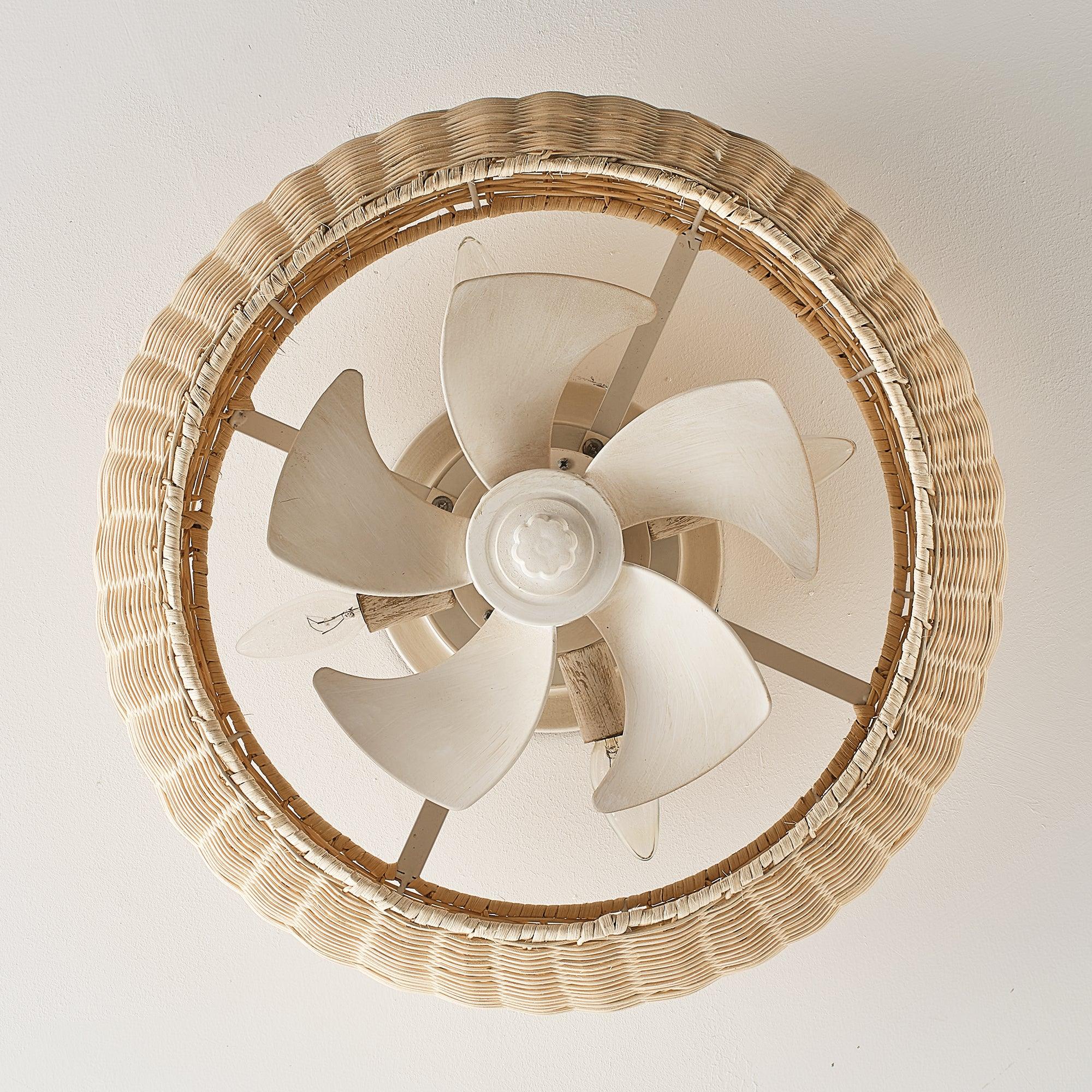 20" Ronald Bohemian Flush Mount Ceiling Fan with Light