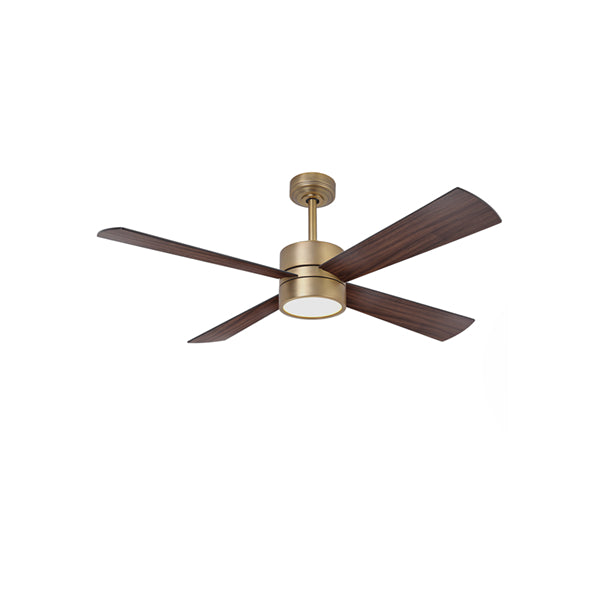 Ceiling Fan - ParrotUncle