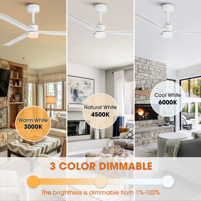 50 Inch Rae Modern Downrod Mount LED Ceiling Fan with Remote Control