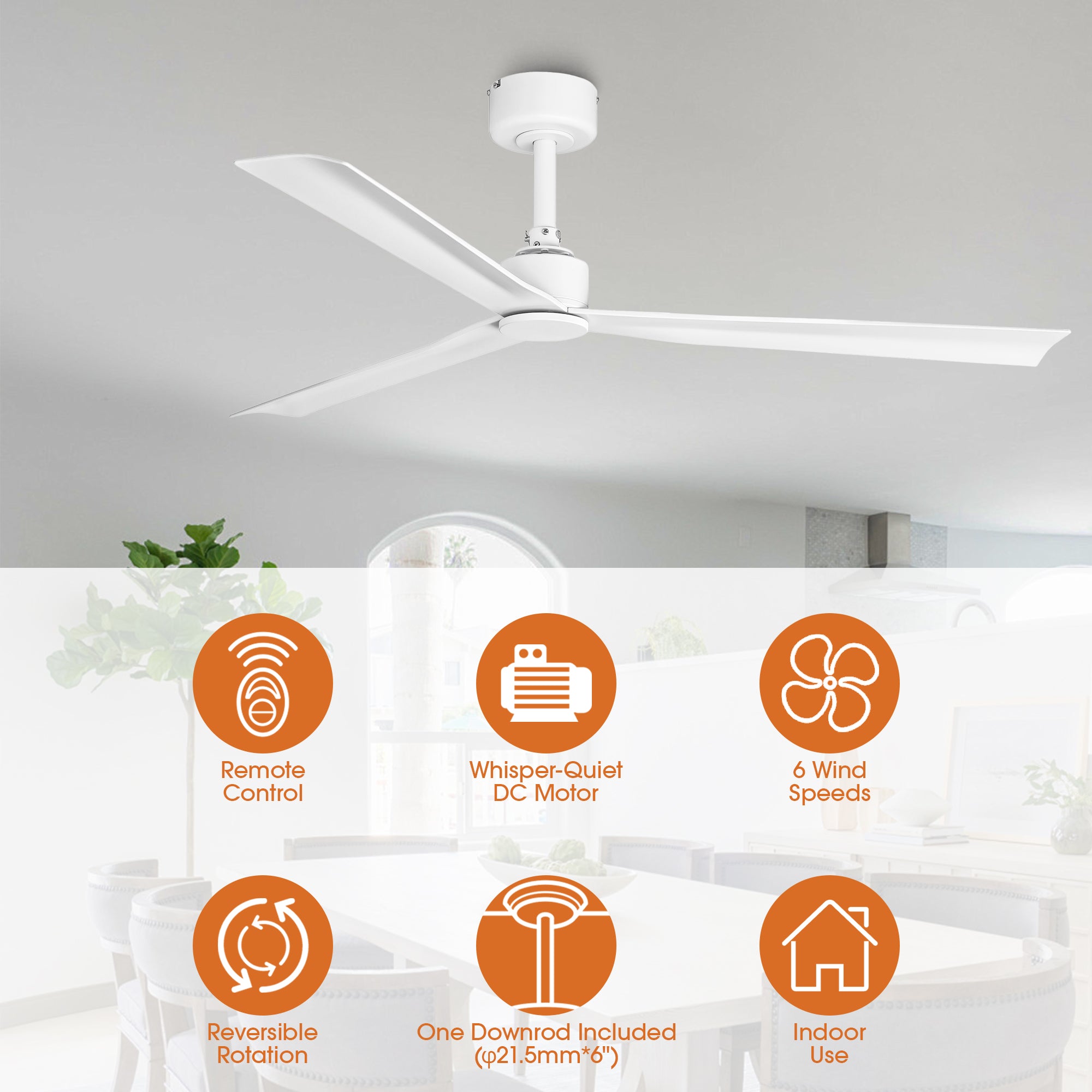 50 Inch Erica Modern Downrod Mount Ceiling Fan with Remote Control