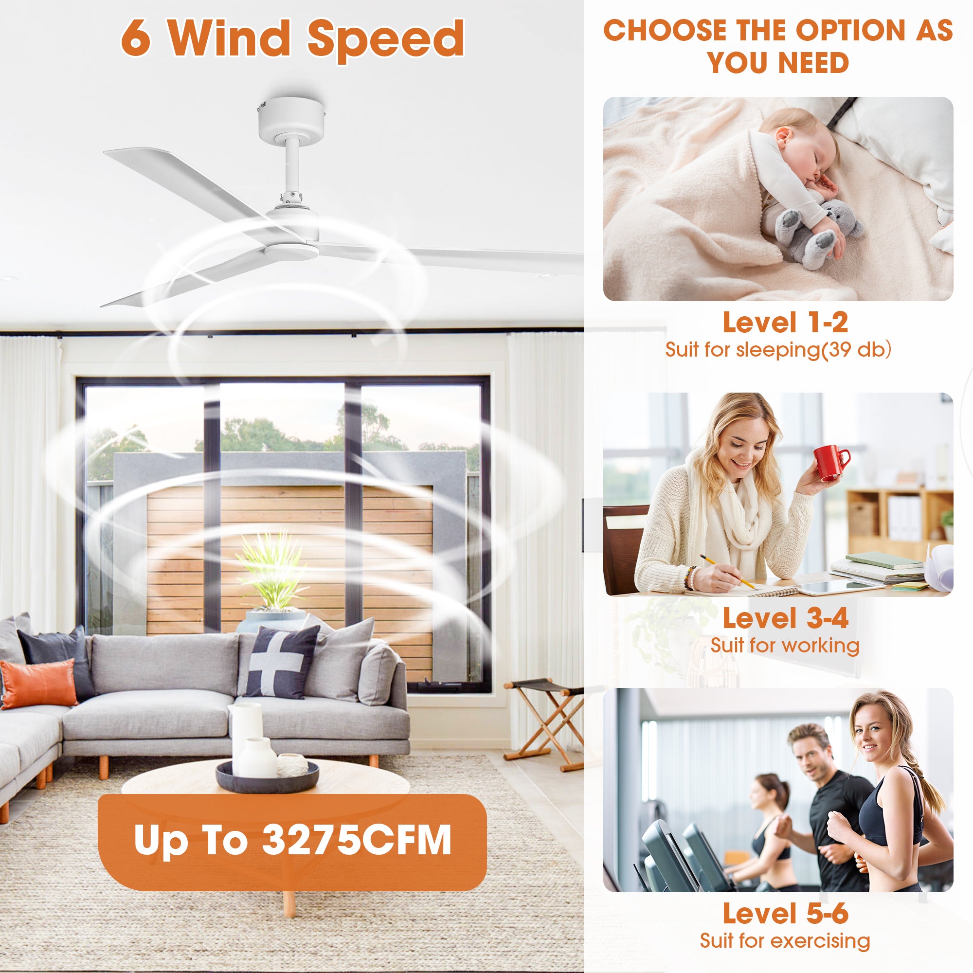 50 Inch Erica Modern Downrod Mount Ceiling Fan with Remote Control