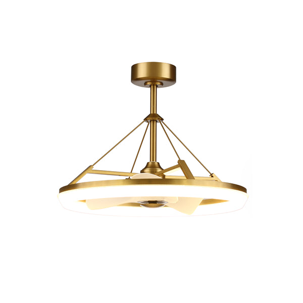 Luxury Ceiling Fans