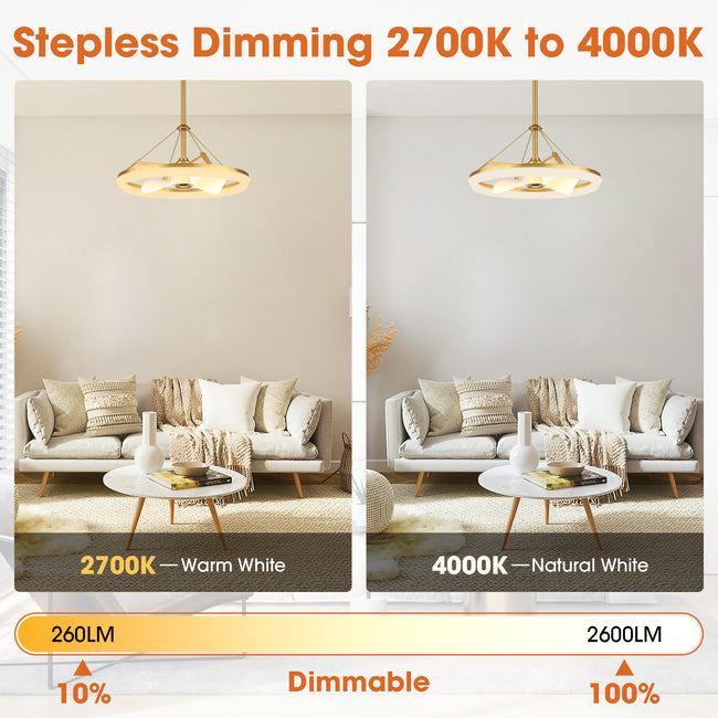 30 Inch Mona Golden Downrod Mount Fandelier with Remote Control