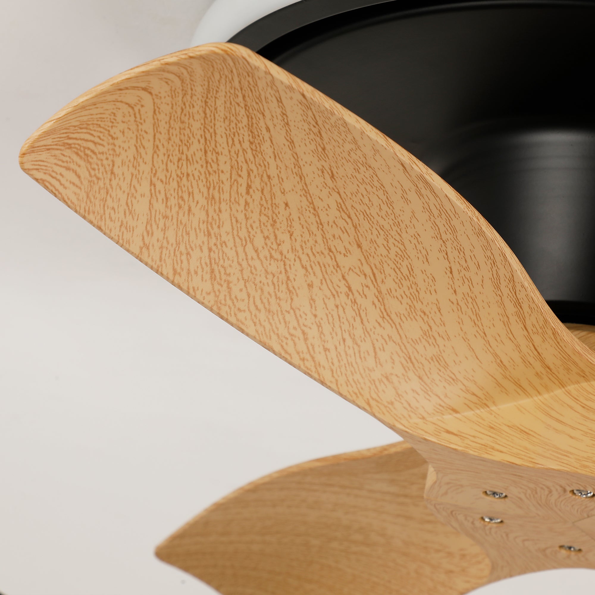 31" Ocean Flush Mount LED Ceiling Fan with Remote Control