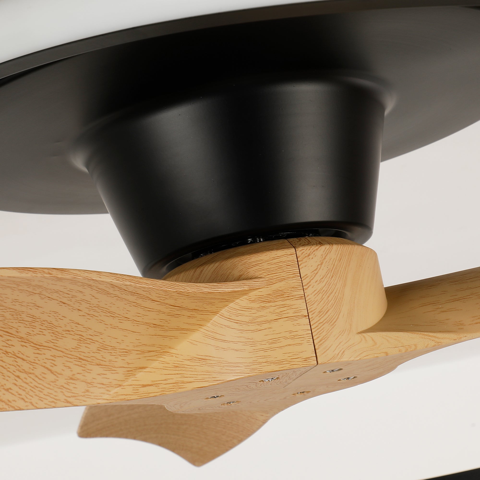 31" Ocean Flush Mount LED Ceiling Fan with Remote Control