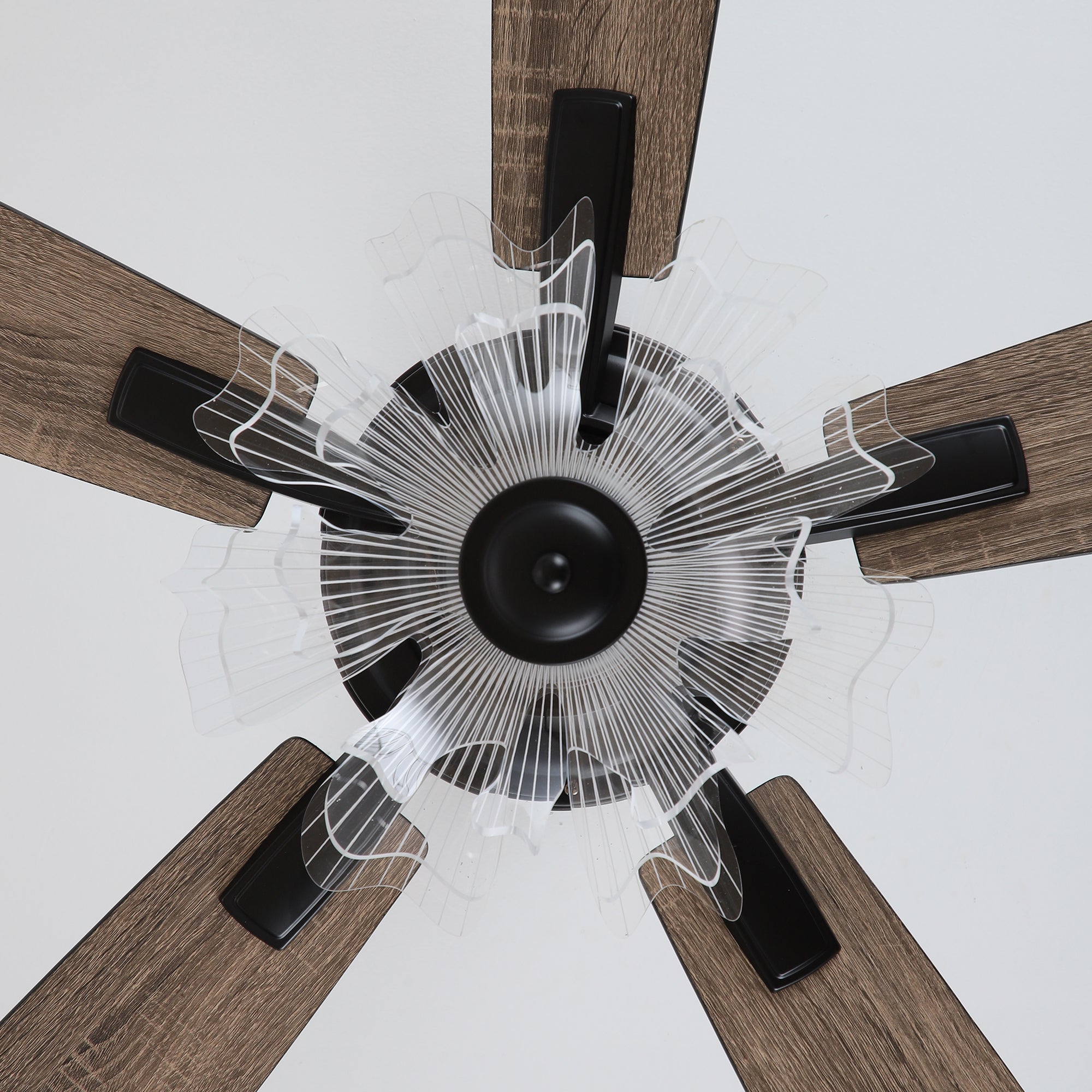 52 Inch Rory Modern Downrod Mount LED Ceiling Fan with Remote Control