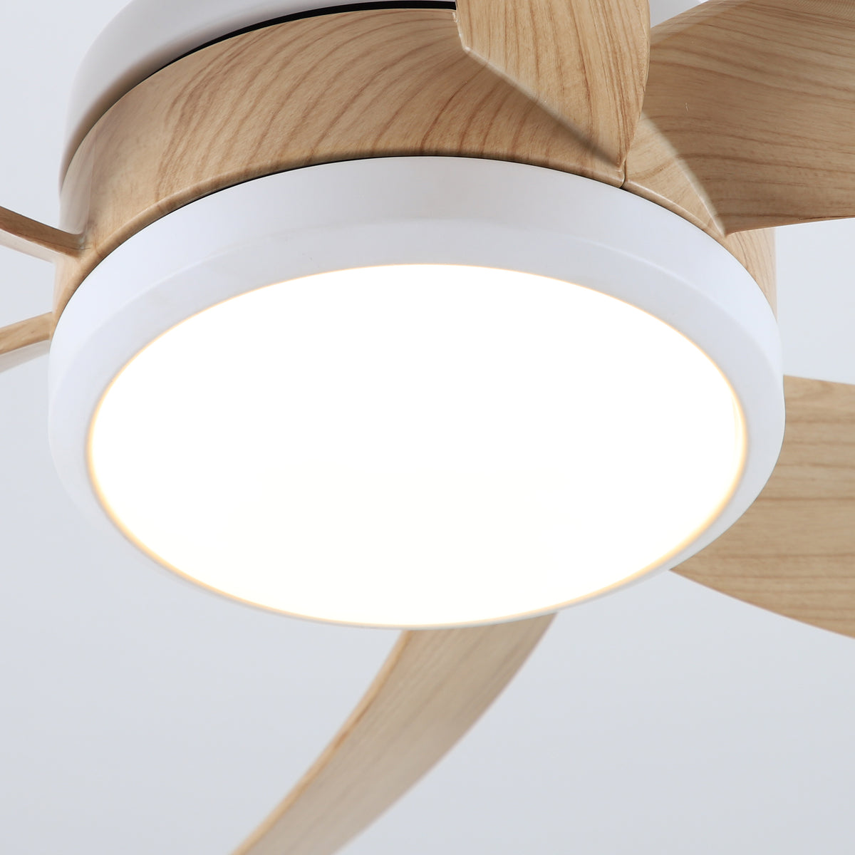 42-Inch 52-Inch Modern Loop-Blade LED Ceiling Fan