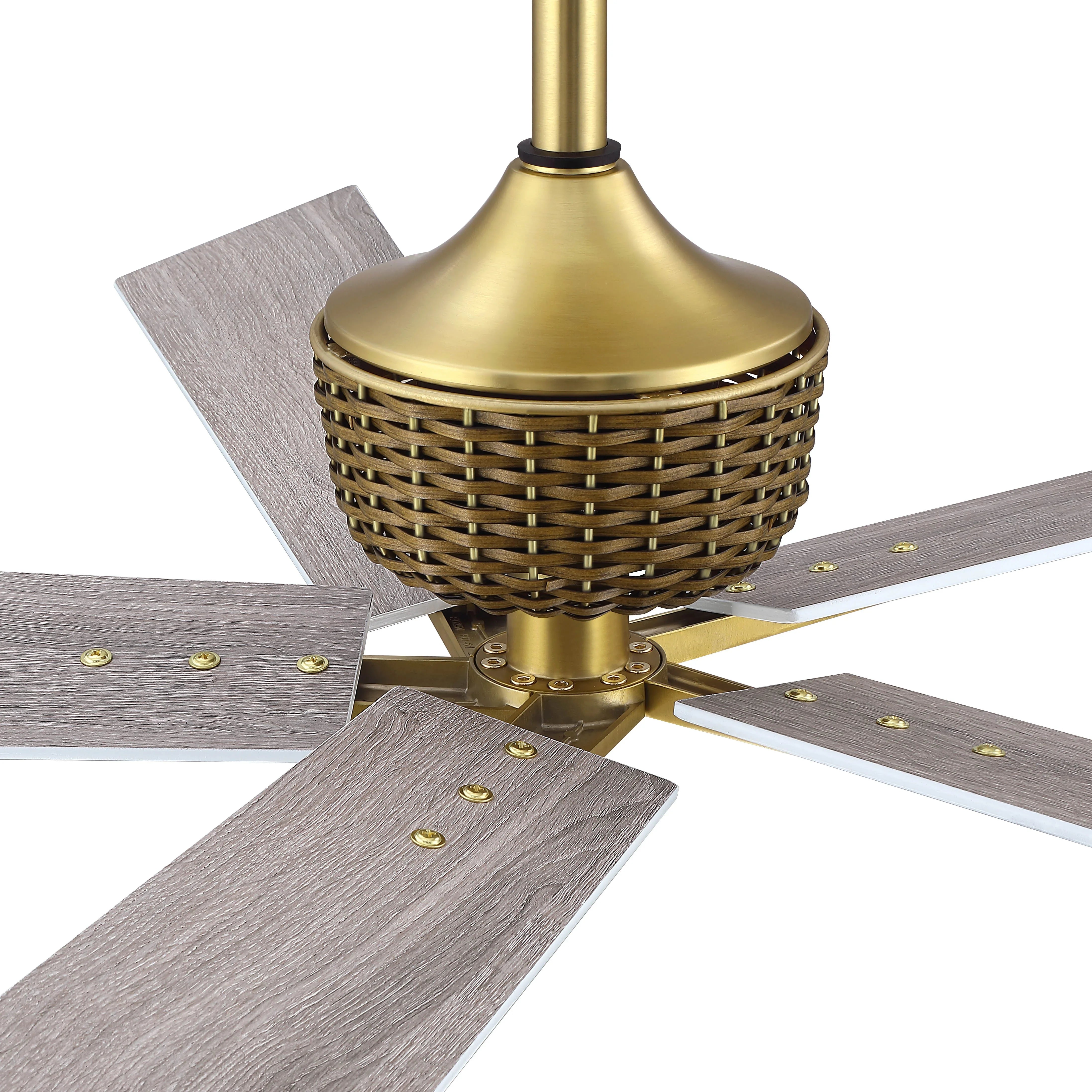 52" Rex Soft Brass Downrod Mount Ceiling Fan